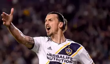 Ibrahimovic'e 2 maç ceza!