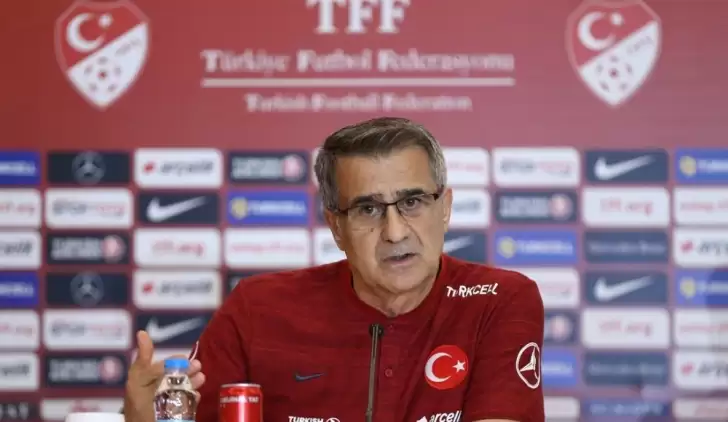 Şenol Güneş'ten açıklamalar