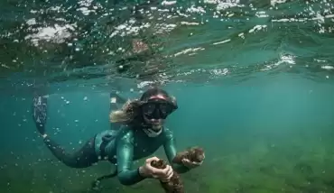 Şahika Ercümen'den "Mavi Kıyılar" projesine destek