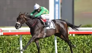 Gazi Koşusu'nda kazanan The Last Romance