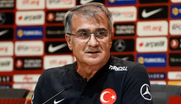 Şenol Güneş: "Arnavutluk ve İzlanda maçlarını kazanırsak..."