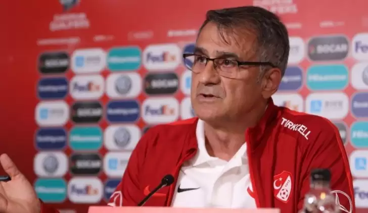 Şenol Güneş: "Sorun yabancı konusu değil"