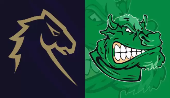 Yıldız Stallions - Sakarya Tatankaları ÜniLig Süper Lig maçı 