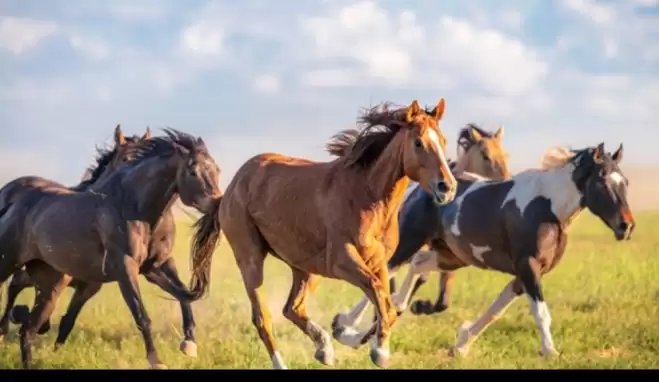 Ruam nedir? Ruam hastalığı belirtileri nelerdir?