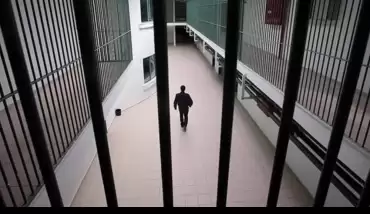 Af yasası son durum nedir?