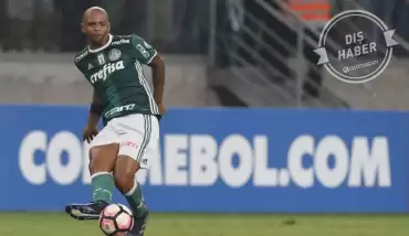 Felipe Melo Palmeiras'ta mutlu! 'Her şey yolunda'