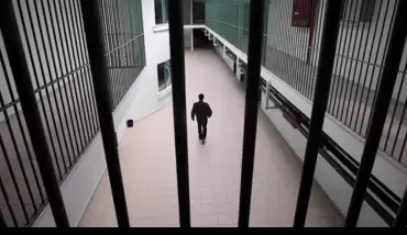 Af yasası ne zaman çıkacak 29 Şubat 2020