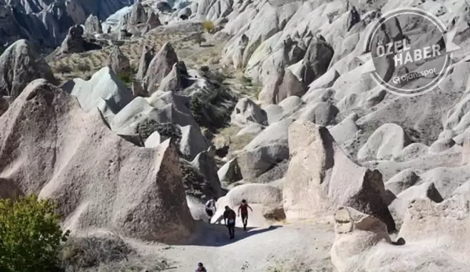 Salomon'dan kanserojen maddelere savaş