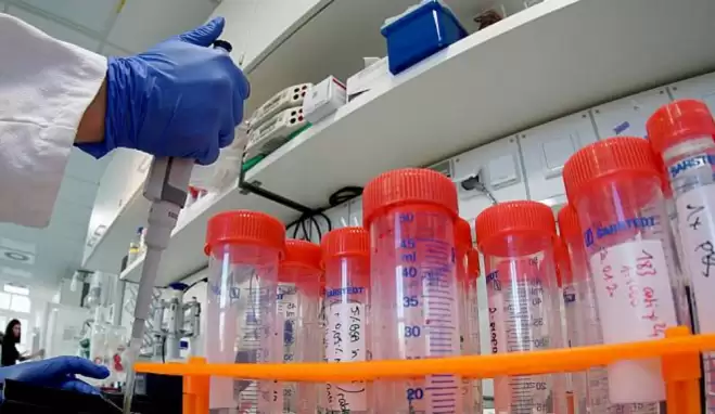 Corona ne zaman biter? Korona yazın biter mi? Sıcak havada corona ölür mü?