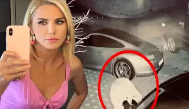 Ece Erken, Şafak Mahmutyazıcıoğlu'nun aracına saldırdı!