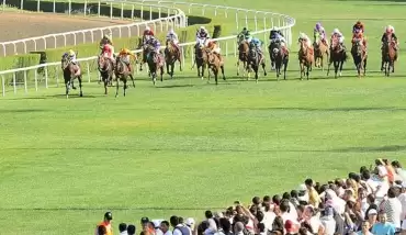 TJK'dan 1 milyon 50 bin liralık bağış