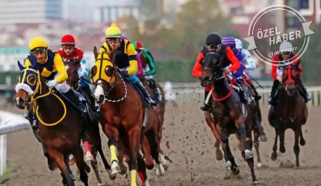 At yarışları ne zaman başlayacak? Resmi açıklama!