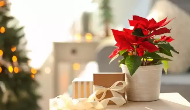 Anneler günü için evde yapılacak hediyeler! Evde kolay hediye yapma