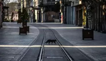 Erdoğan bugün açıklayacak! 19 Mayıs'ta...