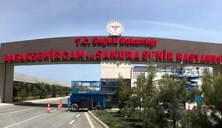 Sakura ne demek ne anlama geliyor?