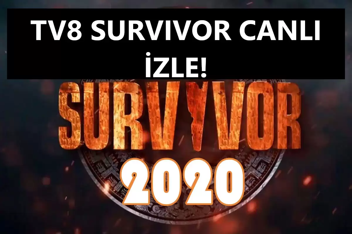 Survivor tv8 canli