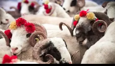 Kurban Bayramı ne zaman? 2020 Kurban Bayramı kaç gün tatil olacak? Diyanet