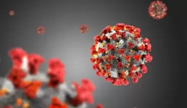 Vaka sayısı artmaya devam ediyor