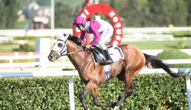 Gazi Koşusu'nda zafer Call To Victory'nin