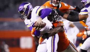 Ayılara Viking engeli