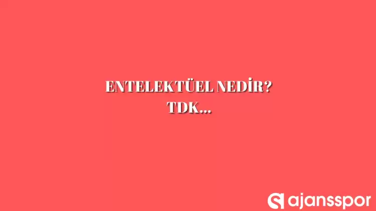 Entelektüel ne anlama geliyor? Entelektüel ne demek? Entelektüel nedir? Entelektüel TDK anlamı