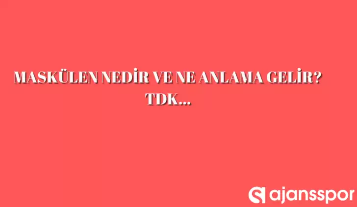 Maskülen nedir, ne anlama gelir ve nerelerde kullanılır? Maskülen TDK kelime anlamı nedir