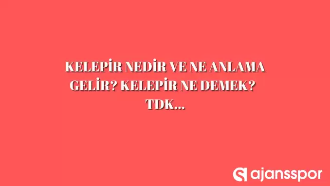 Kelepir nedir, ne anlama gelir ve nerelerde kullanılır? Kelepir TDK kelime anlamı nedir?