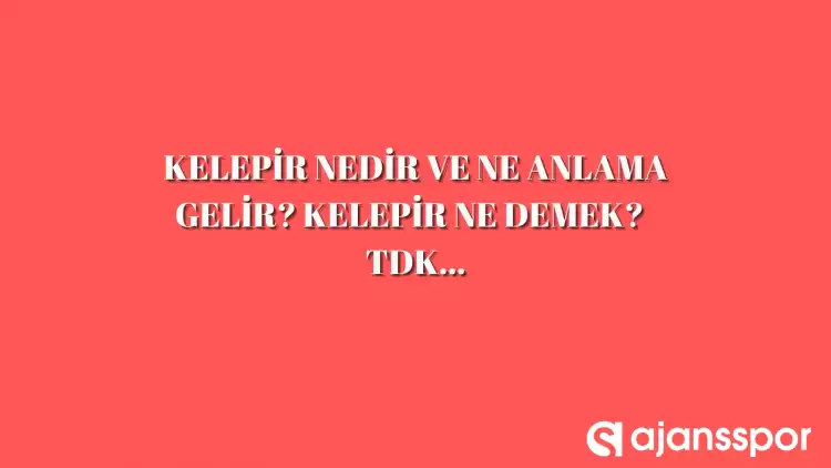 Kelepir nedir, ne anlama gelir ve nerelerde kullanılır? Kelepir TDK kelime anlamı nedir?