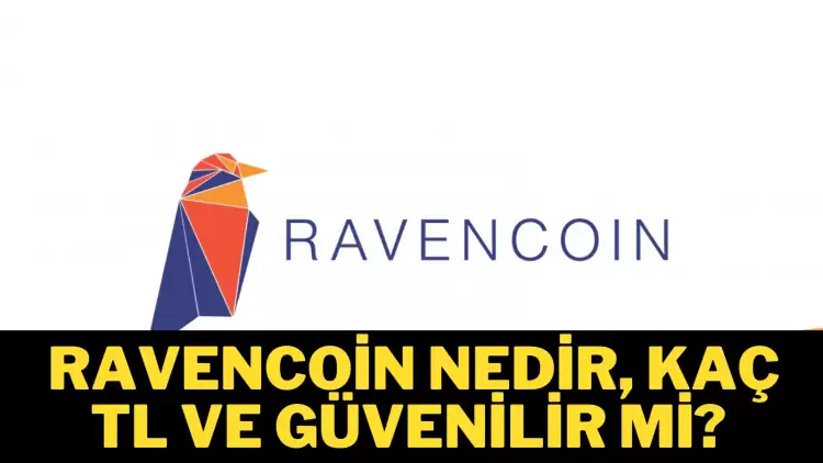 Bir ayda 10 kat değerlenen Ravencoin (RVN) Nedir? Ravencoin  kaç TL?