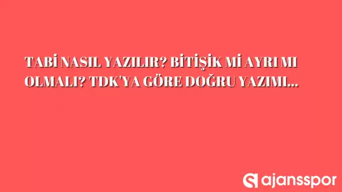 Tabi nasıl yazılır, tabi mi tabii mi? İşte doğru yazılımı…
