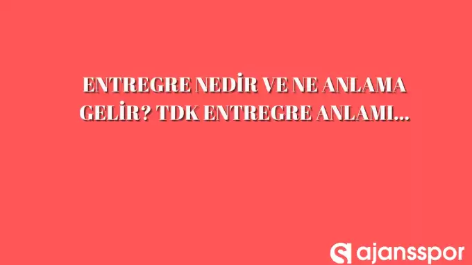 Entegre nedir, ne işe yarar ve hangi anlamlarda kullanılır?