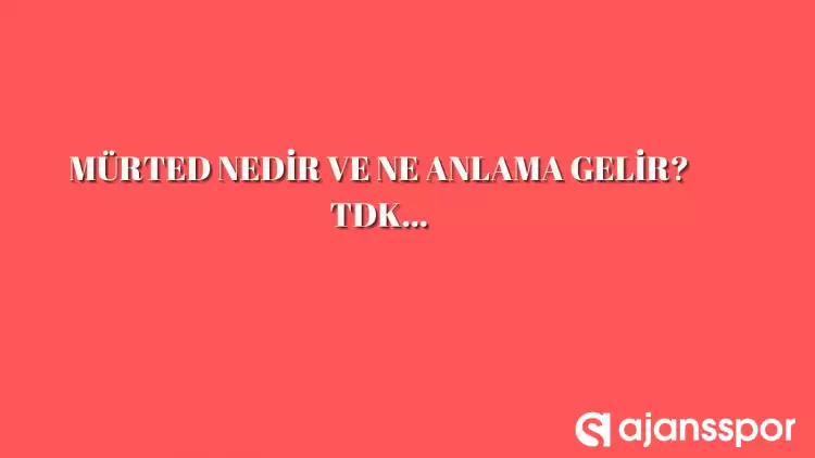 Mürted nedir, ne anlama gelir ve nerelerde kullanılır? Mürted TDK kelime anlamı nedir?