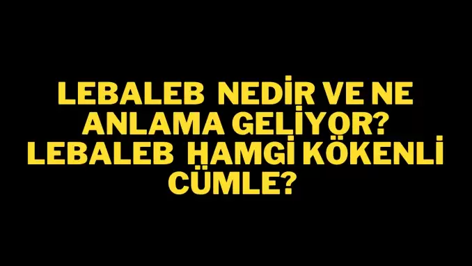 Lebaleb nedir, ne anlama gelir ve nerelerde kullanılır? Lebaleb TDK kelime anlamı nedir