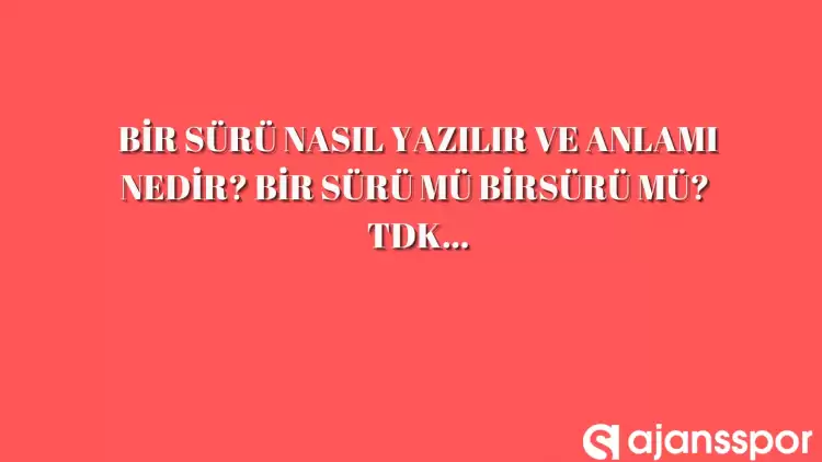 Bir sürü nasıl yazılır? TDK’ya göre ‘Bir sürü’ bitişik mi ayrı mı yazılır? ‘Bir sürü’ mü ‘Birsürü’ mü?