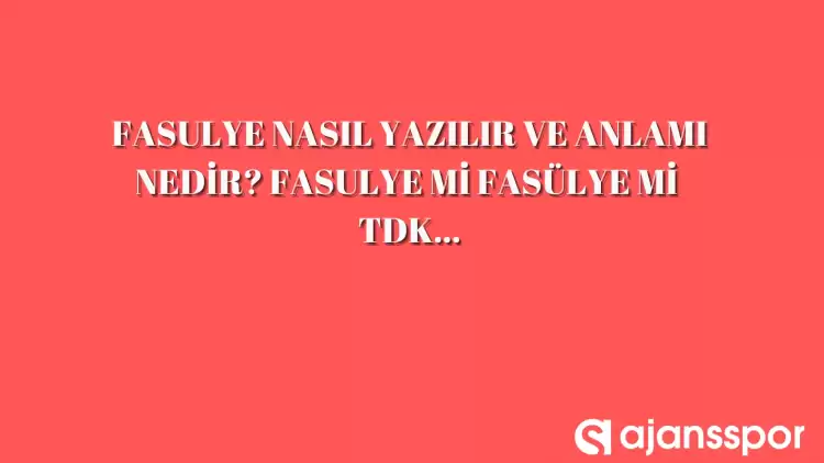 'Fasulye' nasıl yazılır? TDK’ya göre 'fasulye' mi 'fasülye' mi?