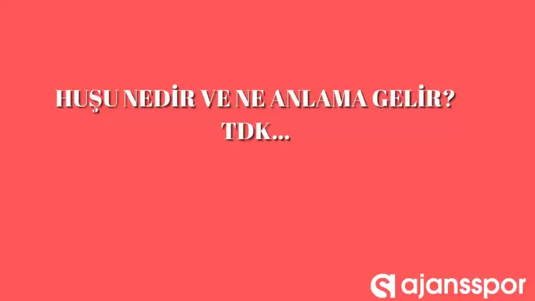 Huşu nedir, ne anlama gelir ve nerelerde kullanılır? Huşu TDK kelime anlamı nedir