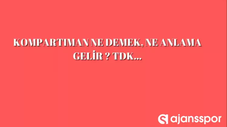 Kompartıman edilmek nedir, ne anlama gelir ve nerelerde kullanılır? Kompartıman edilmek TDK kelime anlamı nedir?