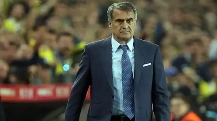 Şenol Güneş, Fenerbahçe'ye gider