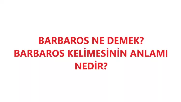 Barbaros Ne Demek Ve Ne Anlama Geliyor?