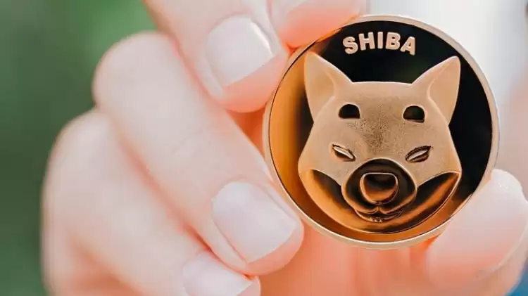 Shiba Coin yükseliyor mu, değeri ne kadar? Shiba Coin nedir?