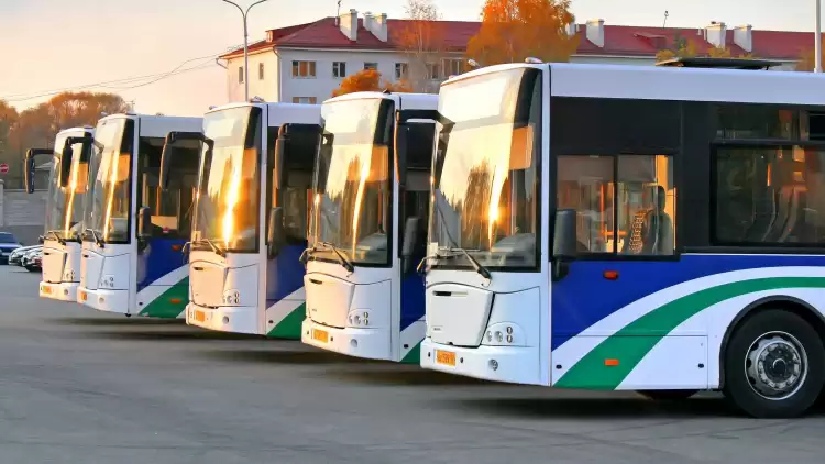 Intercity İstanbul Park'a giden otobüs, minibüs ve ulaşım araçları hangileri?