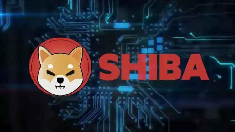 Shiba coin kaç sene sonra 1 tl olur? 1 dolar olacak mı?