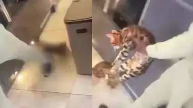 VİDEO  - Ünlü futbolcudan kediye işkence! Şok görüntüler ortaya çıktı...