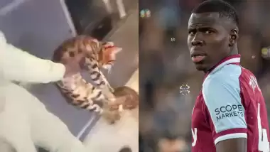Kedisine tekme atmıştı, sözleşmesi sonlandırıldı! Resmen açıkladılar...