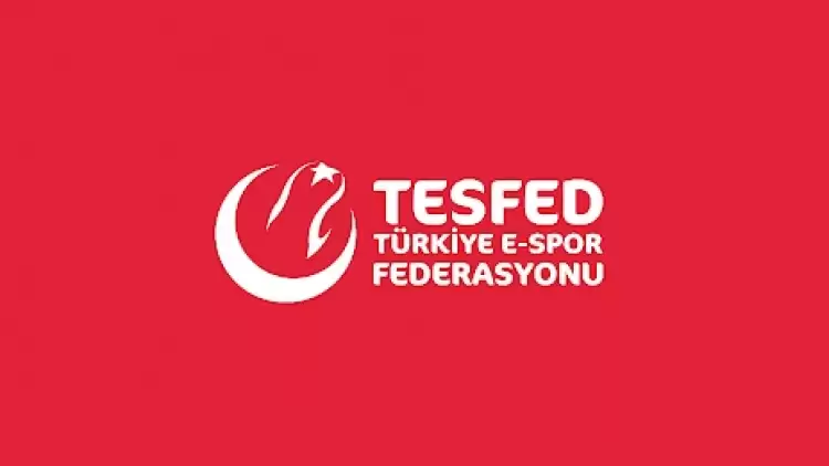 Başakşehir CEO'su Mustafa Eröğüt Espor Federasyonu Yönetim Kurulu'nda!