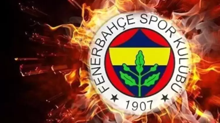 Fenerbahçe'de Víctor Lapeña Gitti, Marina Maljkovic Geldi