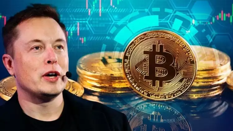 Elon Musk'ın sahip olduğu kripto paralar hangisi? Doge, Shiba ne kadar aldı?