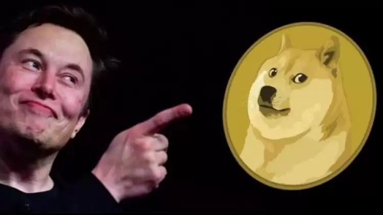 Elon Musk'ın kaç adet Doge Coin'i var? Twitter sonrası yükselir mi?