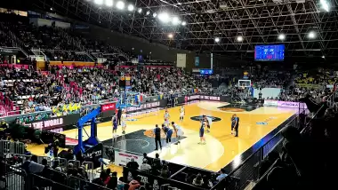 12 dev timsah! Finaldeyiz