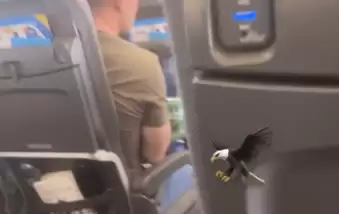 Transfer listesindeki yıldızdan, uçaktan "Kartal" emojili paylaşım! 